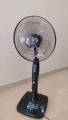 Quạt cây Hoa Phượng không điều khiển - QD-40CM