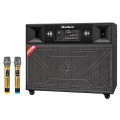 Loa Kéo Điện Dalton TS-18A8000 (2 Bass 50cm, 3000W, Kèm 2 Micro)